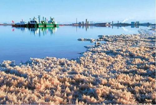 青海盐湖爆料最新消息,神秘矿物揭示地球早期环境之谜  第2张